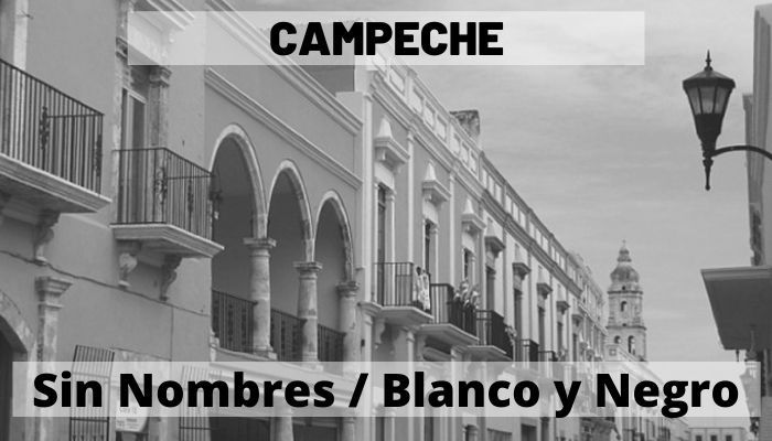Campeche Sin Nombres En Blanco Y Negro Mapas De México Descarga 5269