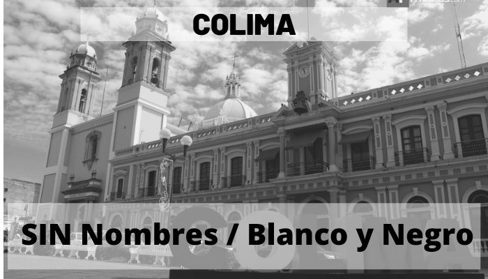 Colima Sin Nombres A Blanco Y Negro Mapas De M Xico Descarga Pdf