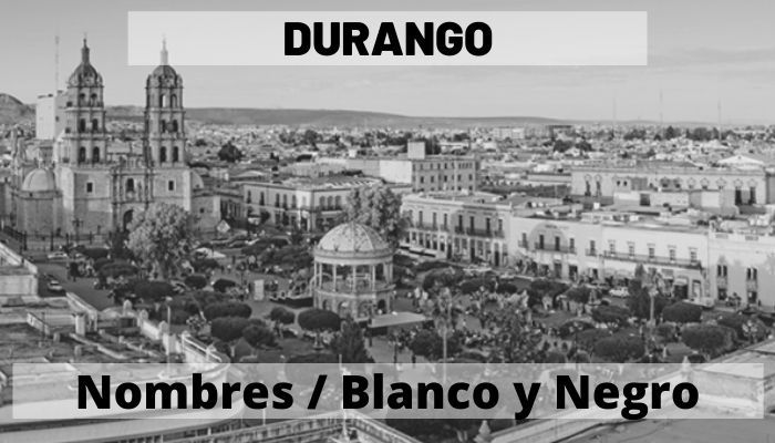 Durango Con Nombres A Blanco Y Negro Mapas De México En Pdf Pdf Descarga 9219