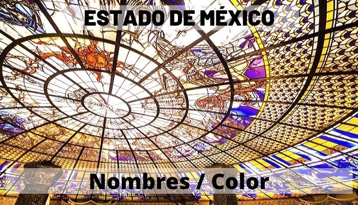 mapa-estado-mexico-color.jpg