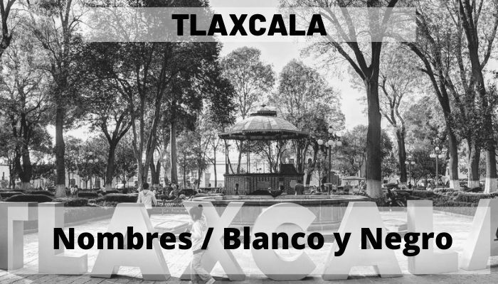tlaxcala-mapa-blanco-negro