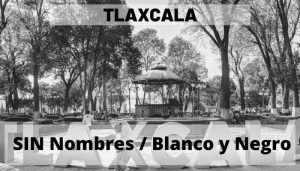 tlaxcala-mapa-nombres-negro
