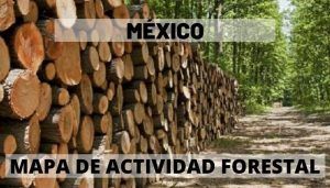 Actividad forestal en México