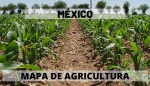 Agricultura en México