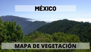 Mapa de Vegetación en México