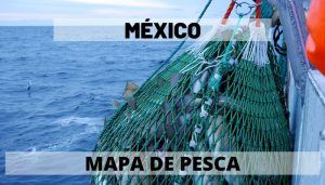 Pesca en México