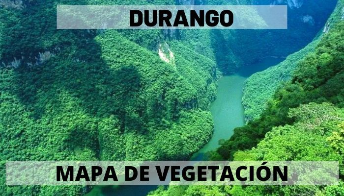 Vegetación de Durango Mapas de México en PDF Descarga e