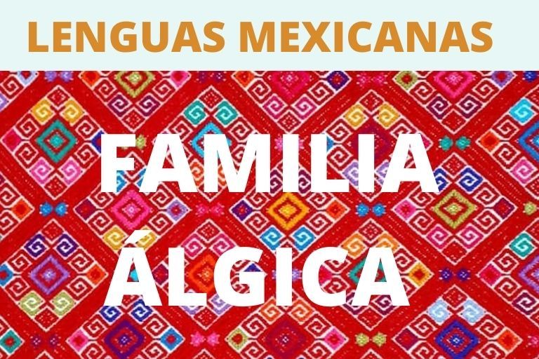 FAMILIA ALGICA MAPA MEXICO