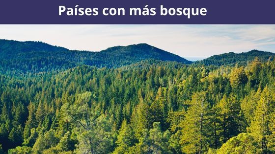 paises con mas bosque