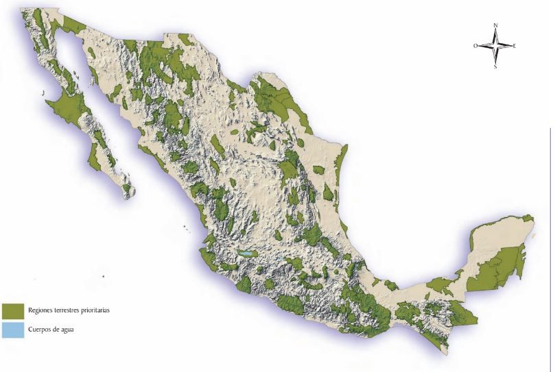 mapa de las regiones terrestres prioritarias en mexico