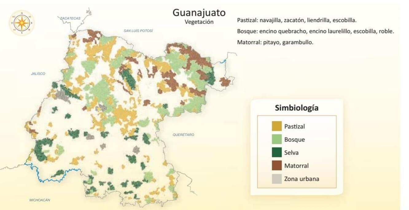 mapa de la vegetación de guanajuato