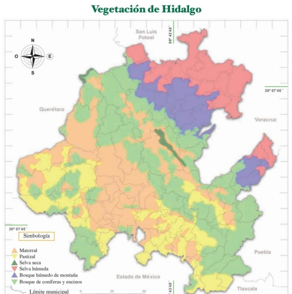 Vegetación de Hidalgo