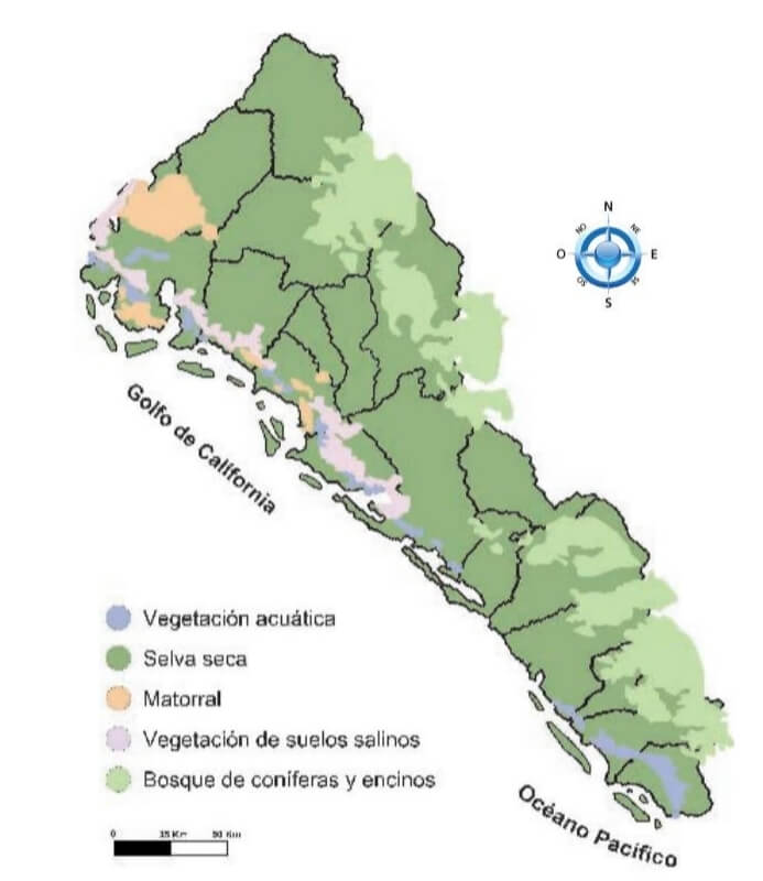 mapa de la vegetación de sinaloa