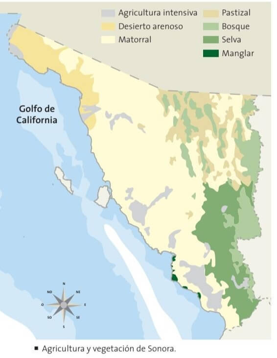 mapa de vegatción de Sonora