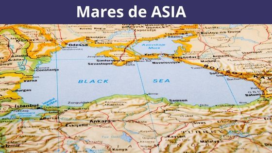 mares de asia