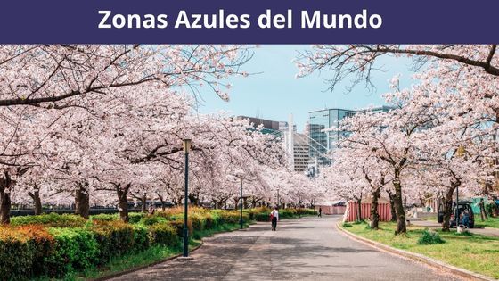 zonas azules del mundo